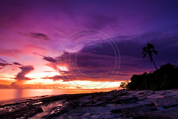 GhigliaA_090218_fiji1611.jpg