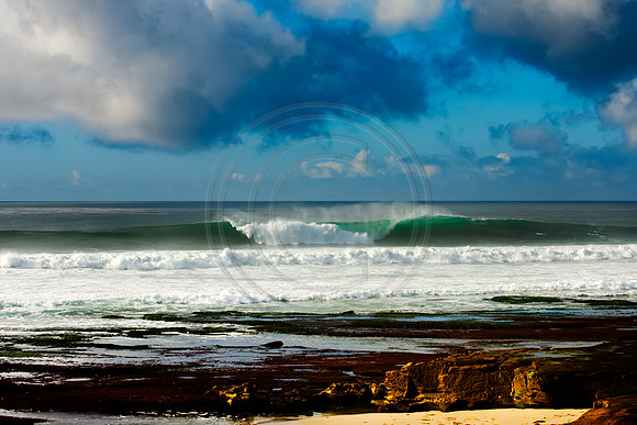 GhigliaA_100113_cali0011.jpg