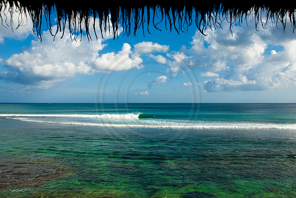GhigliaA_080526_bali4023.jpg