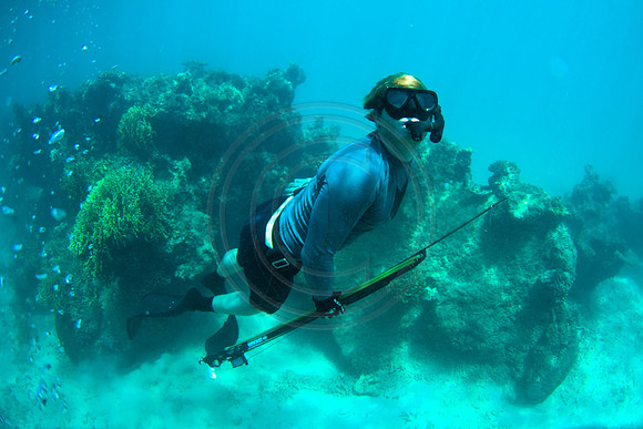 GhigliaA_090216_fiji0873.jpg