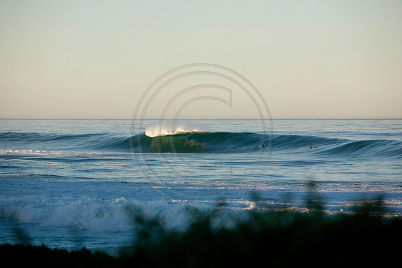 GhigliaA_101103_cali0140
