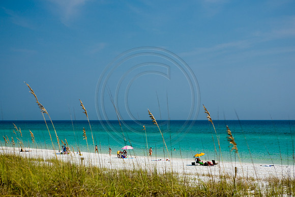 GhigliaA_080830_florida0015.jpg