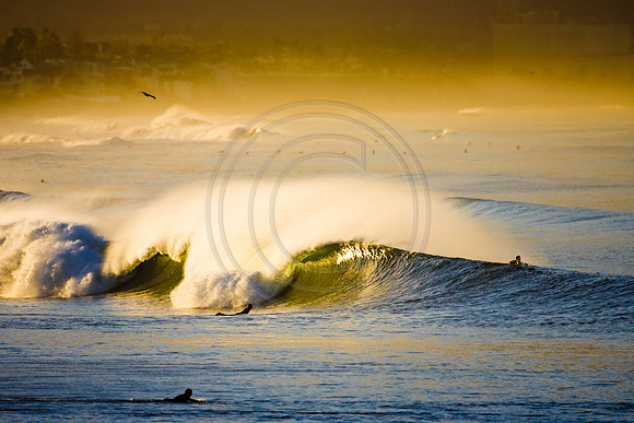 GhigliaA_071022_cali0338.jpg