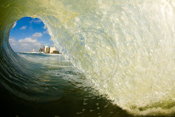 GhigliaA_080902_florida1401.jpg