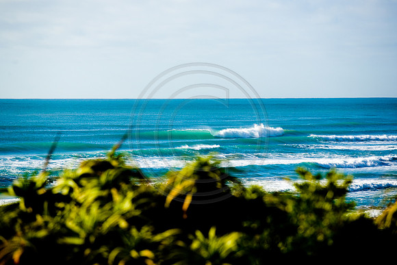 GhigliaA_080130_nz0027.jpg