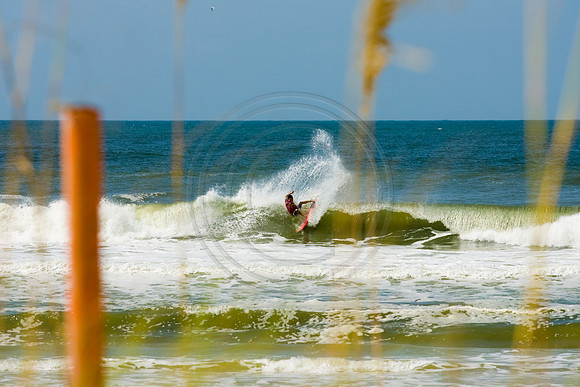 GhigliaA_080902_florida1588.jpg