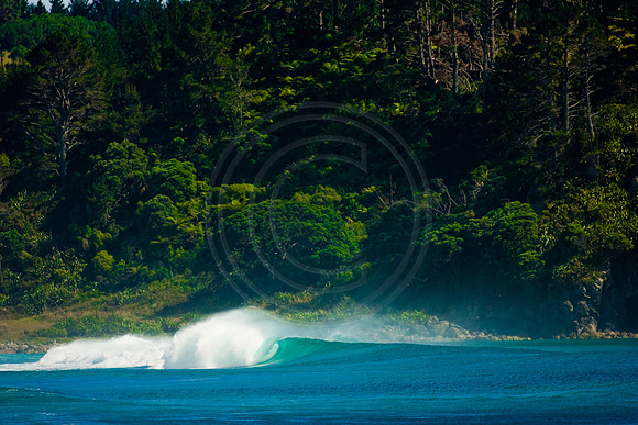 GhigliaA_080123_nz0099.jpg