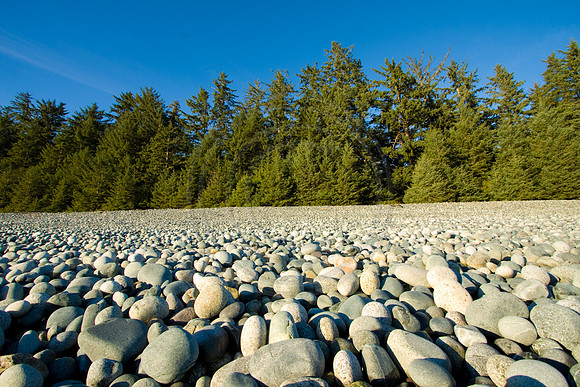 GhigliaA_081210_BC1016.jpg