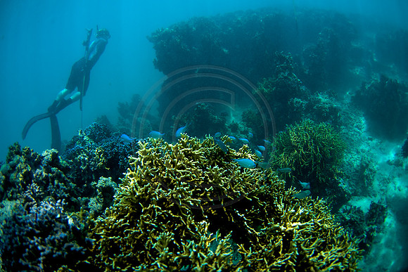 GhigliaA_090216_fiji0823.jpg