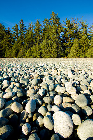 GhigliaA_081210_BC1027.jpg