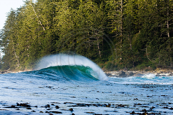 GhigliaA_081211_BC2236.jpg