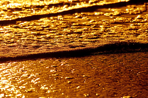 Gold Rush