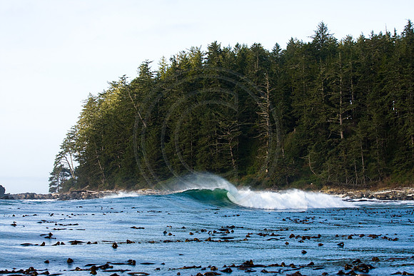 GhigliaA_081211_BC2269.jpg